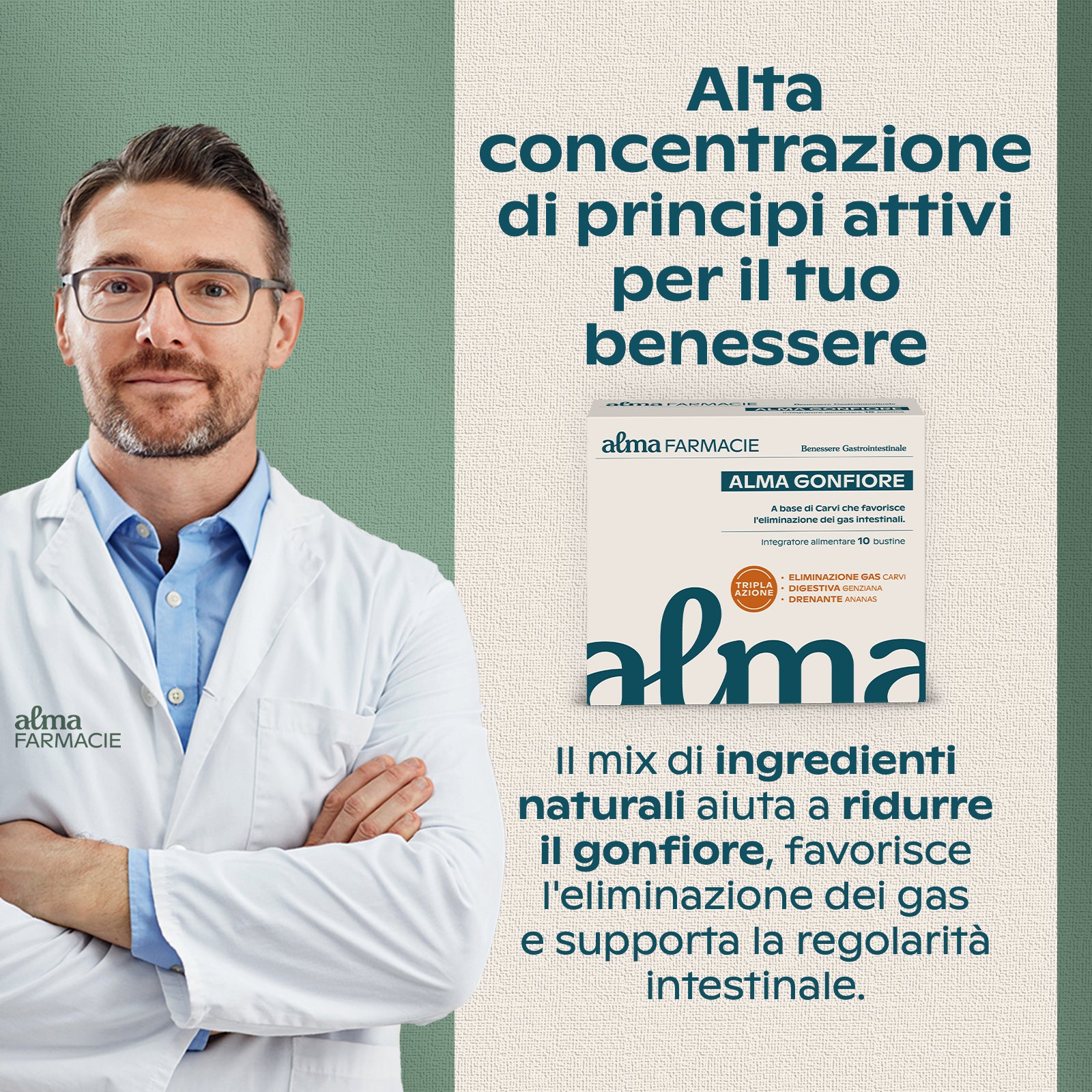 ALMA GONFIORE