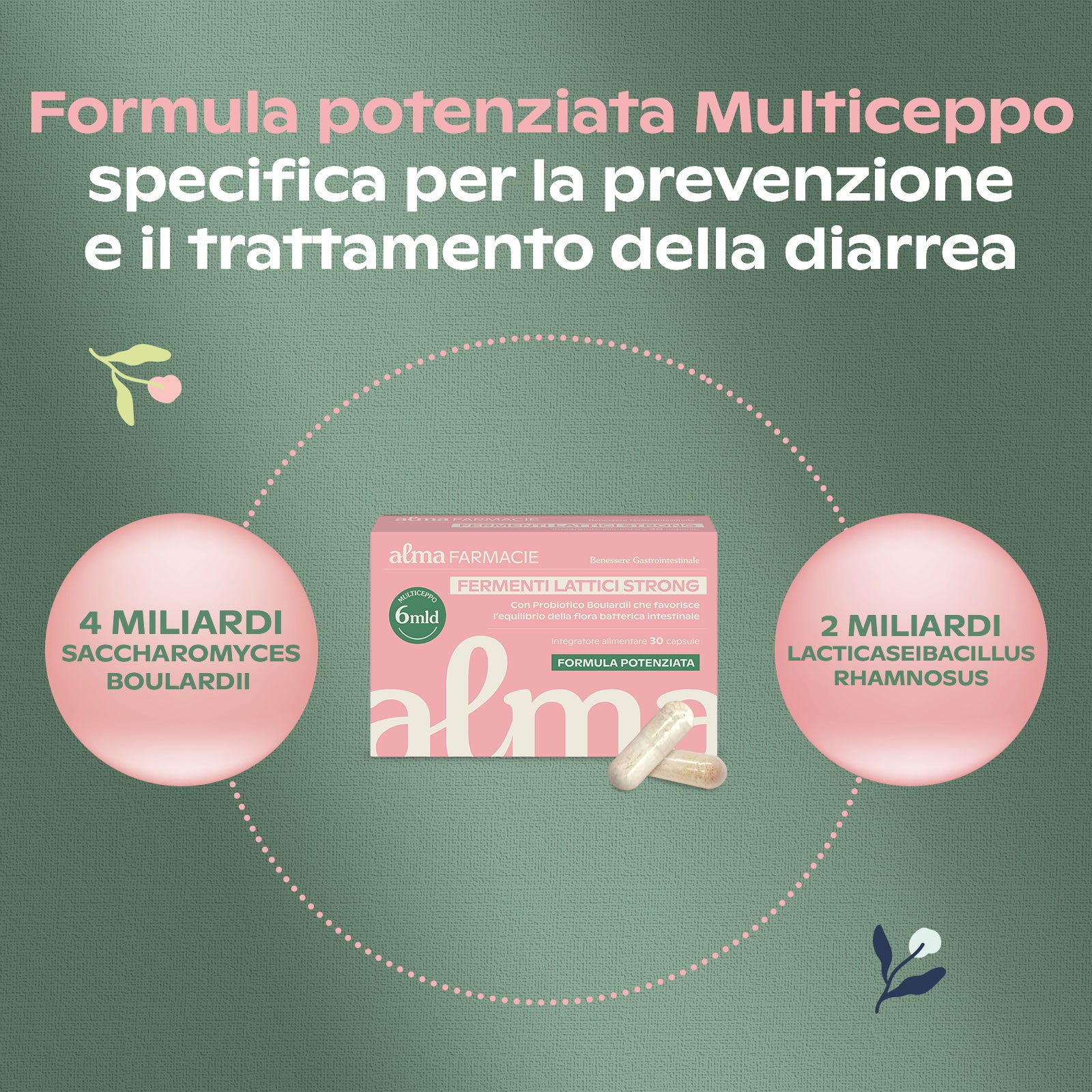 FERMENTI LATTICI STRONG
