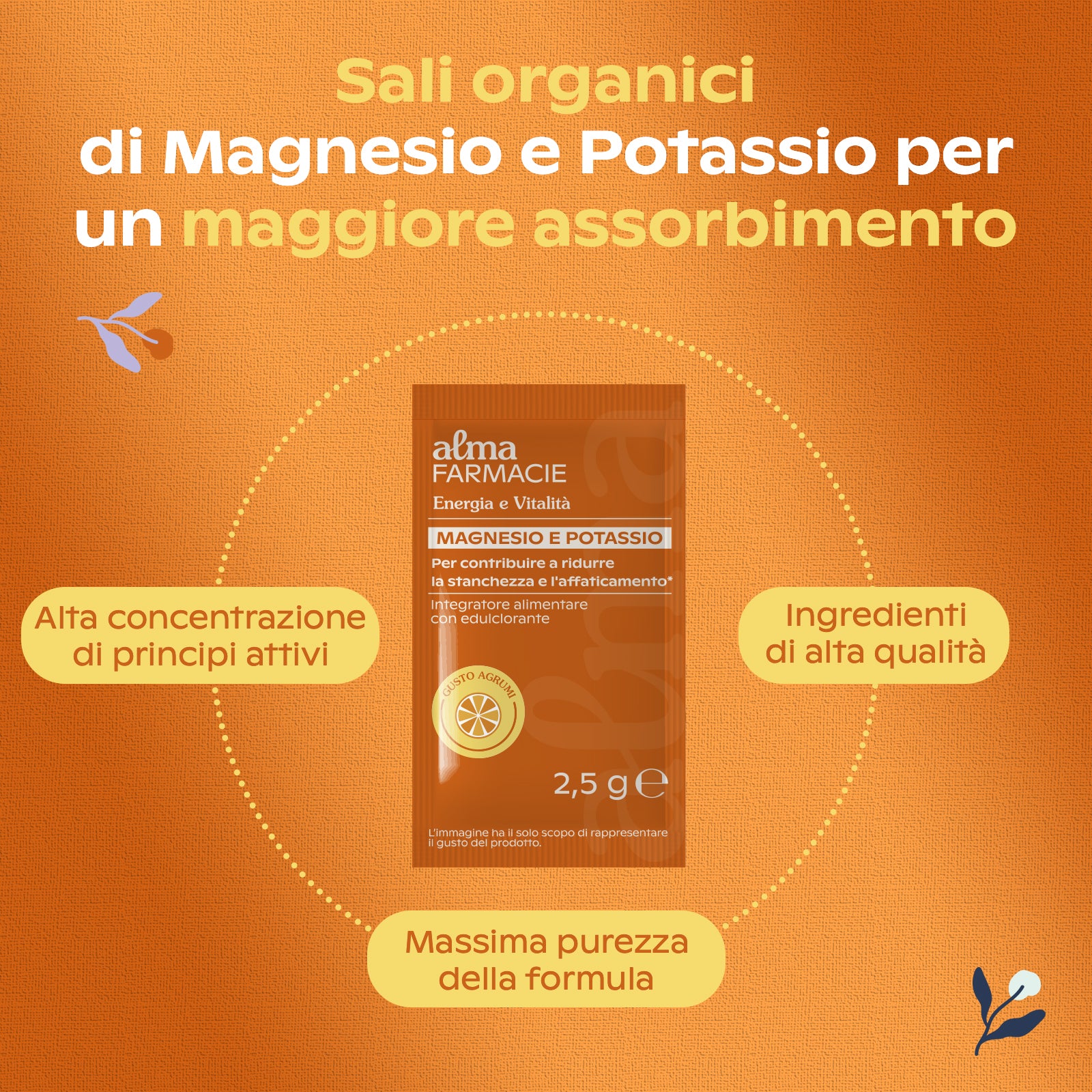 MAGNESIO E POTASSIO MAXI FORMATO