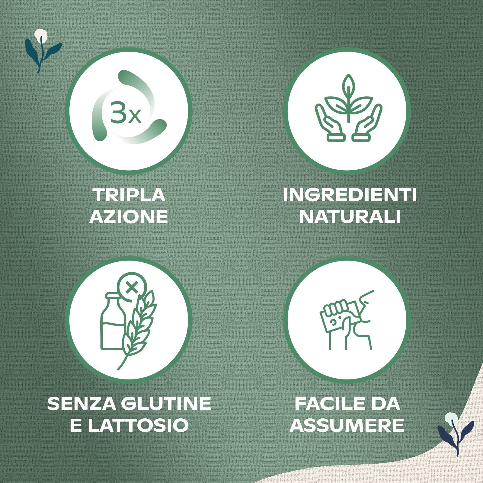 ALMA GONFIORE