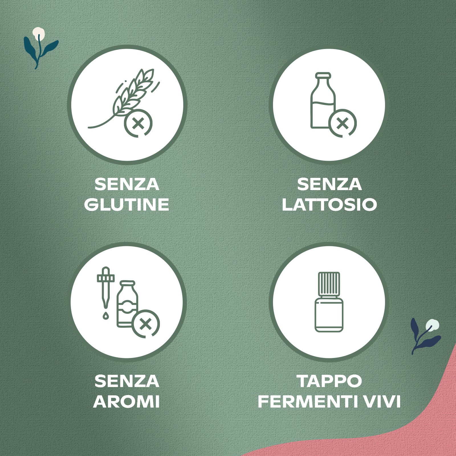 FERMENTI LATTICI PLUS MAXI FORMATO