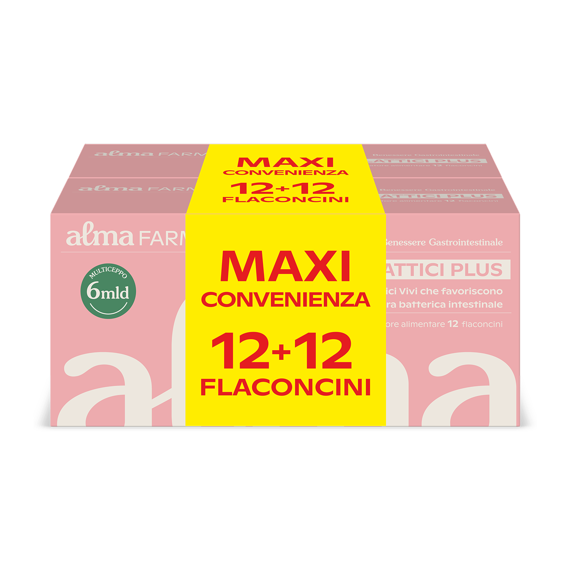 AF FERMENTI LATTICI PL 12+12FL